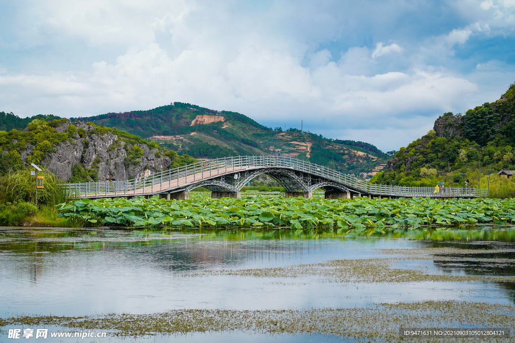 文山州 普者黑景区 荷花世界 