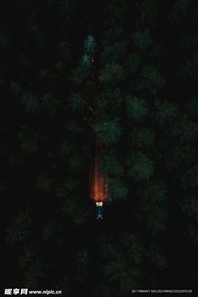 山林