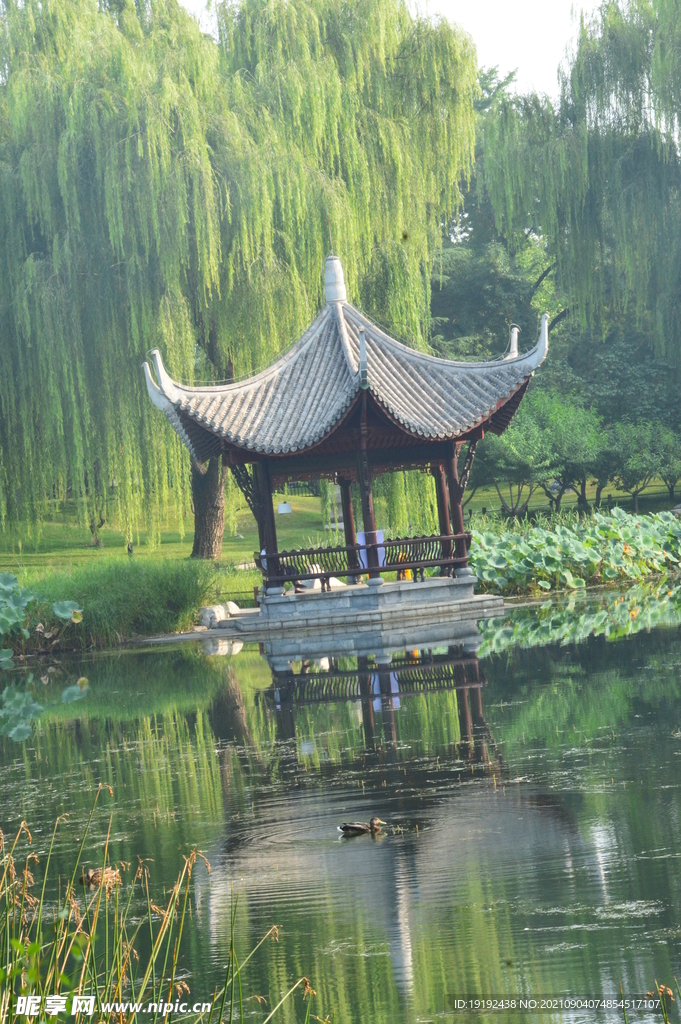 园林风景