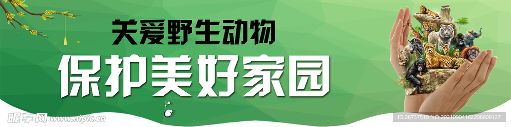 保护野生动物