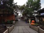 西溪湿地