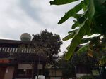 西溪湿地