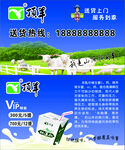 顶羊