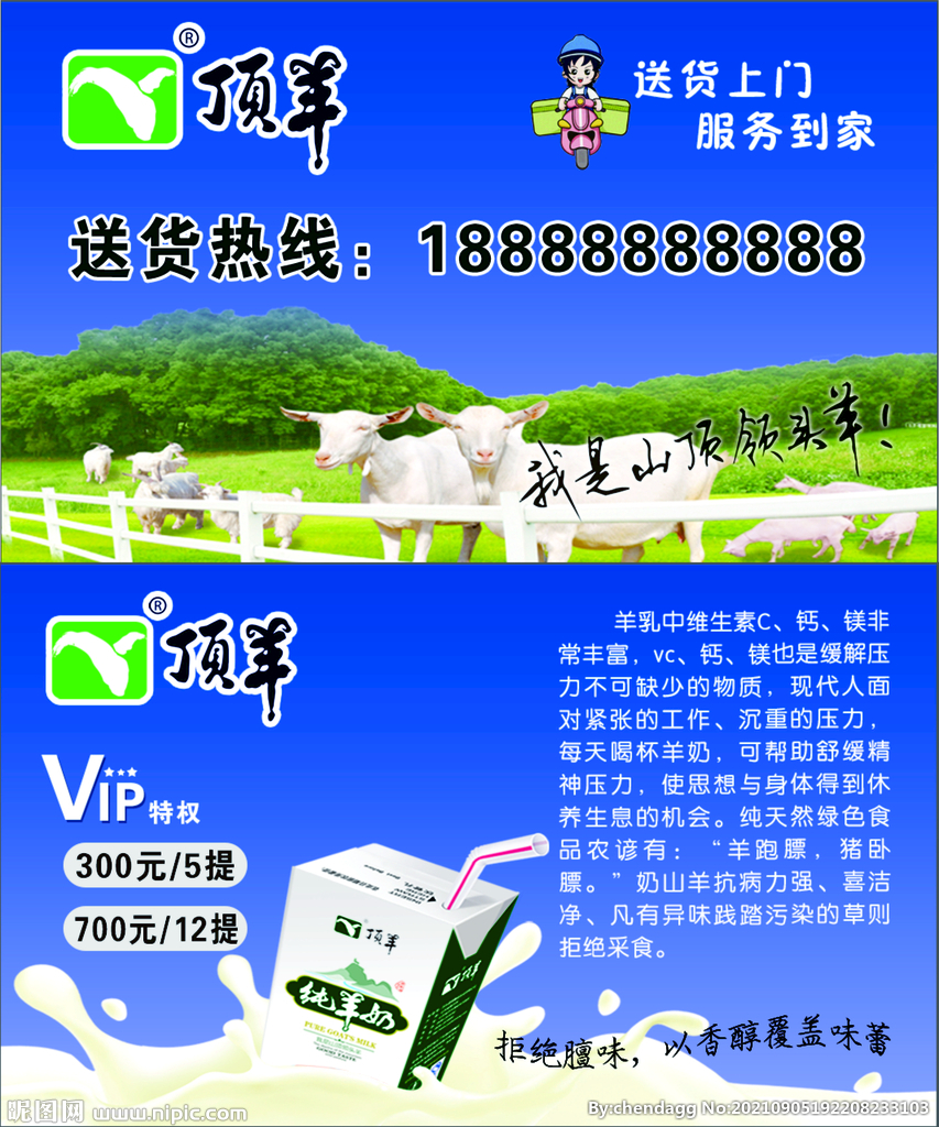 顶羊