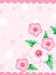  花朵背景