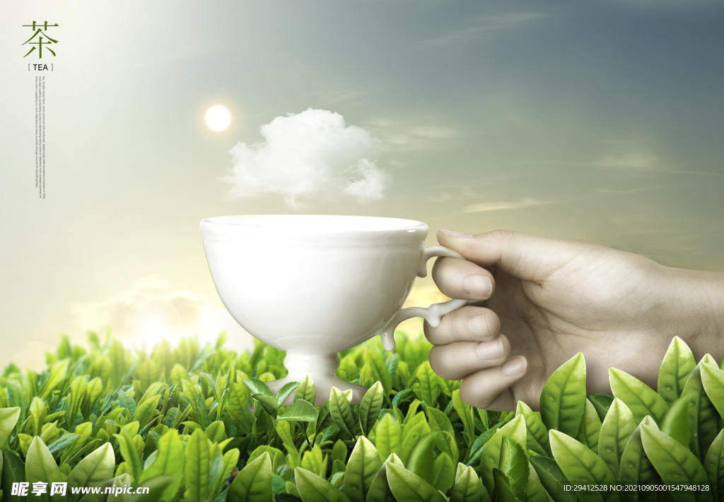 泡茶