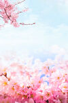 桃花背景