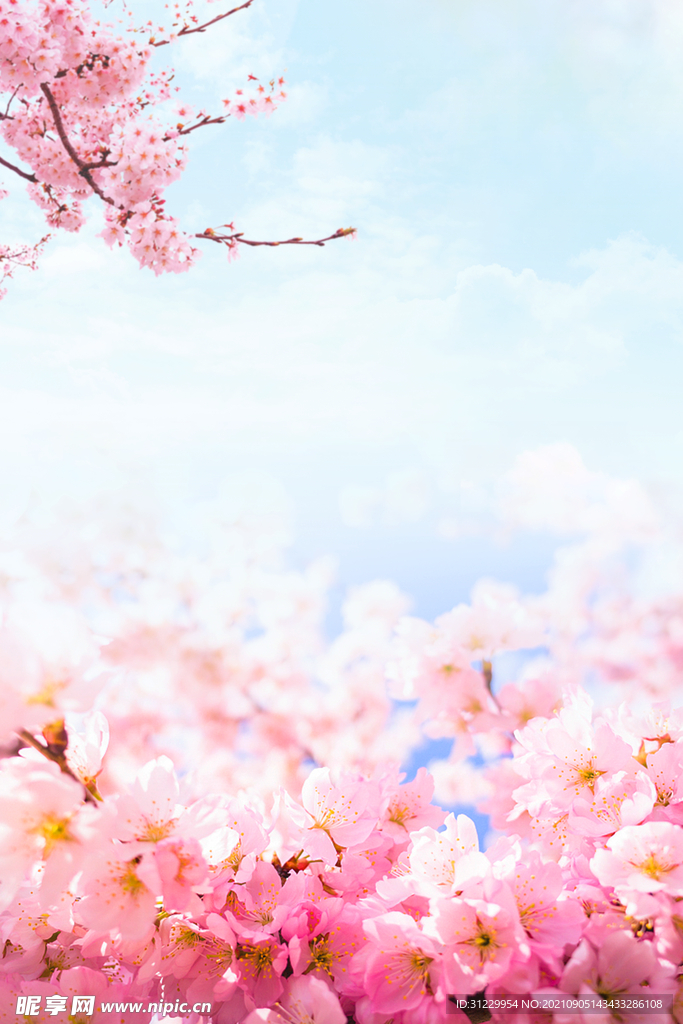 桃花背景
