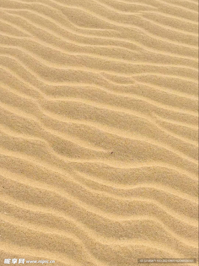 沙滩图片 