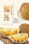 榴莲海报