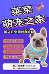 宠物美容
