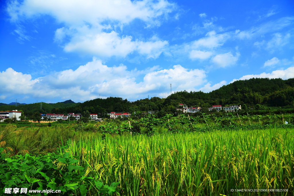  美丽乡村风景