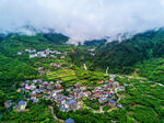 乡村风景
