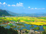 乡村风景