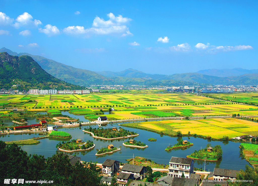 乡村风景