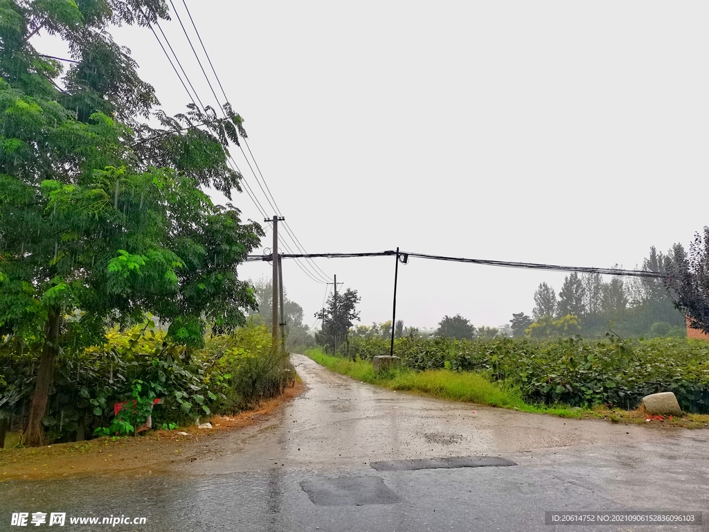 雨天的乡村道路