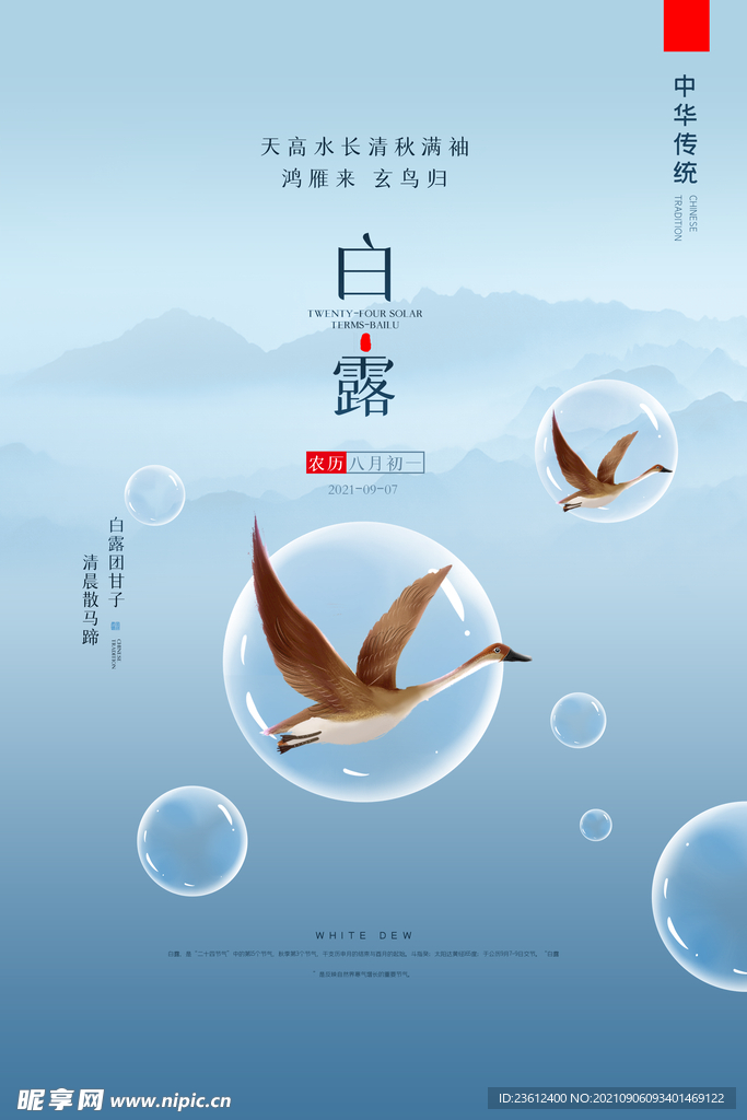 白露海报 