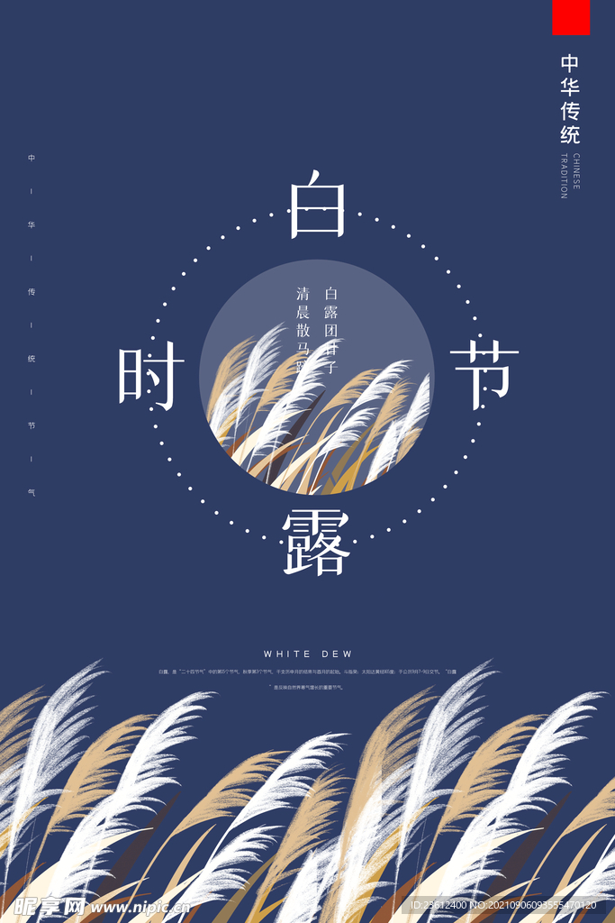 白露海报  