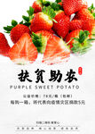 扶贫助农