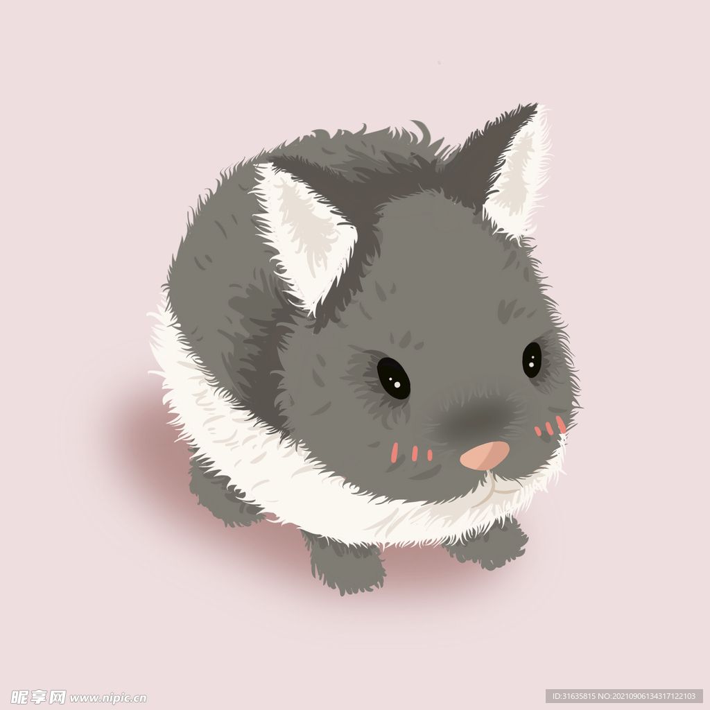 兔子