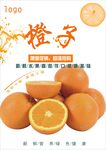 橙子海报