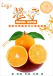 橙子海报