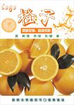 橙子海报