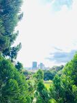 风景