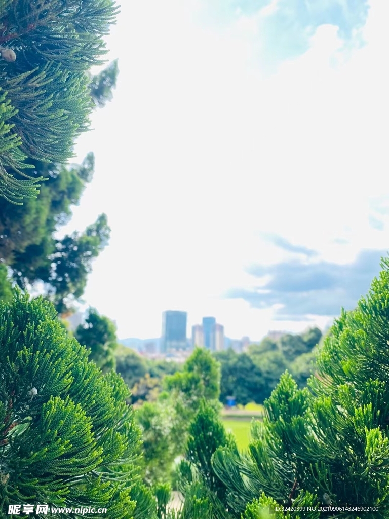风景