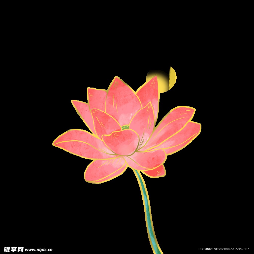 莲花素材
