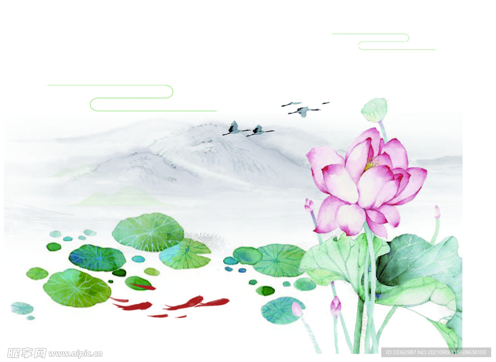 荷花