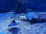 海洋馆