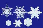 各种雪花