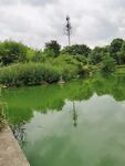 美景