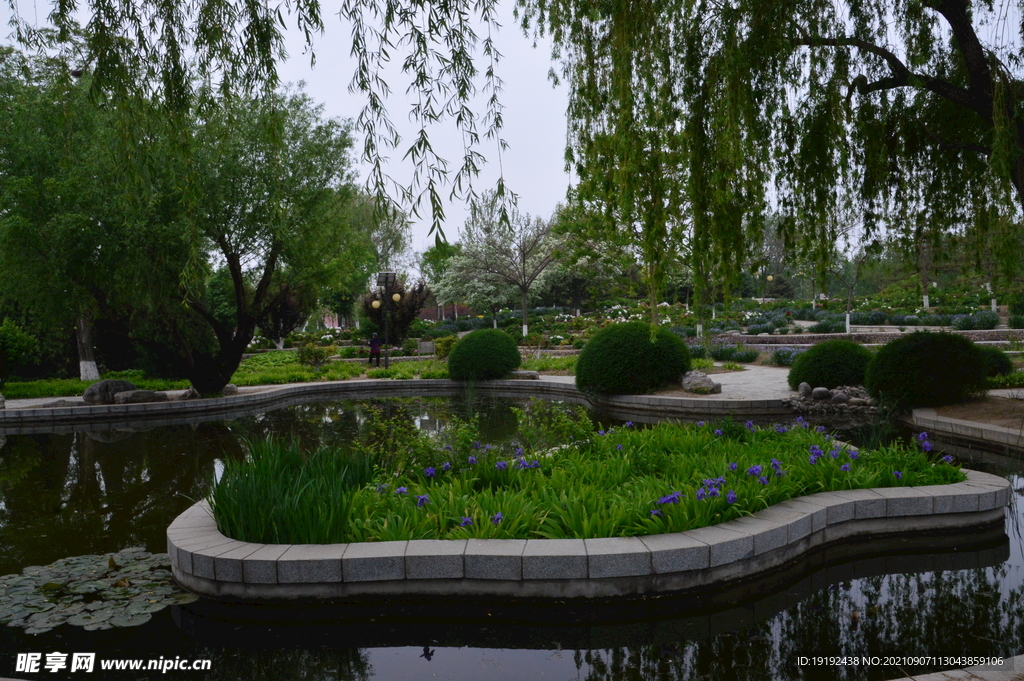 公园风景 