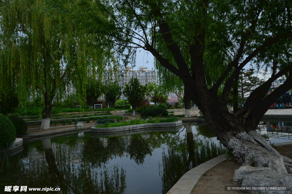 公园风景 