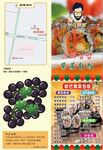 韩式紫菜包饭菜单彩页