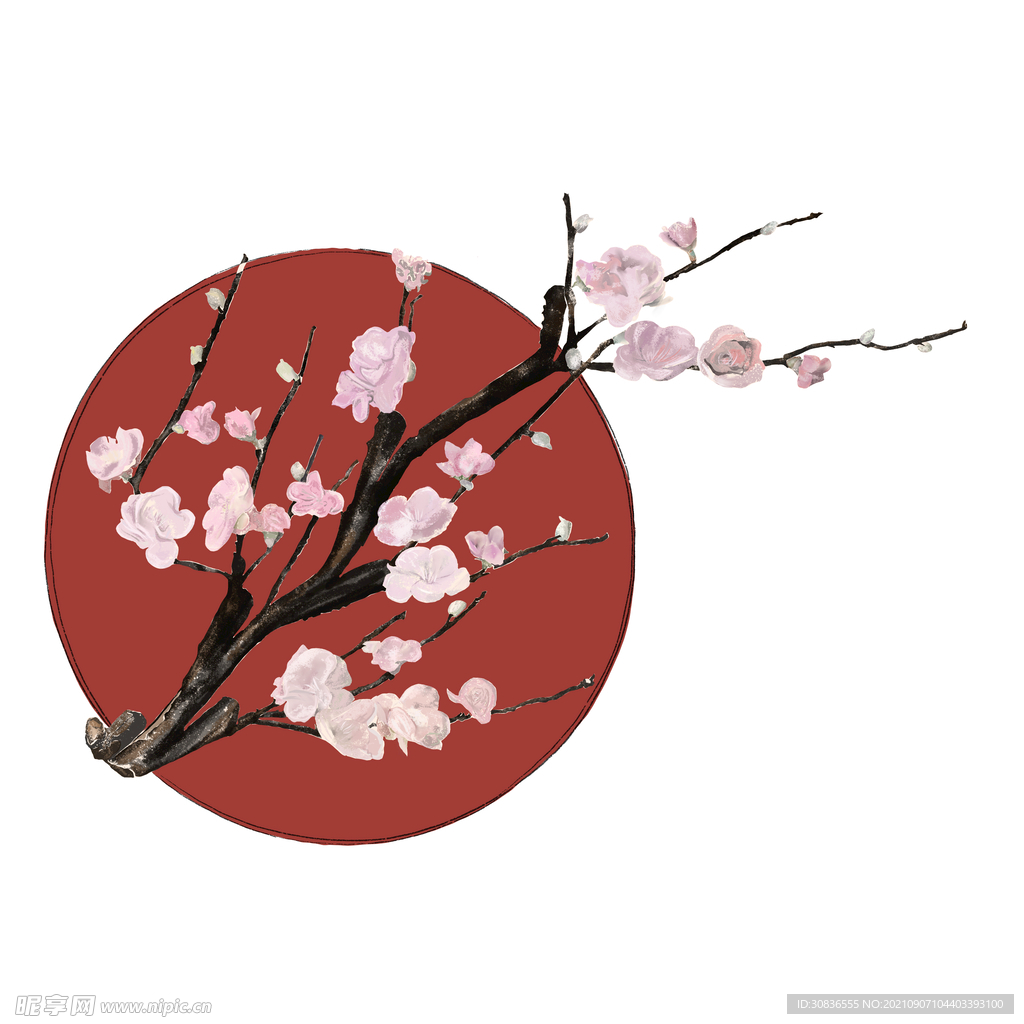 梅花素材 