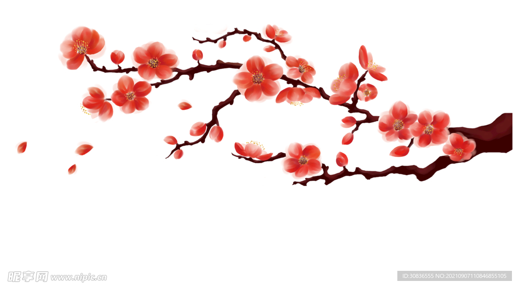梅花素材 