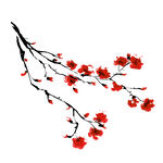 梅花素材 