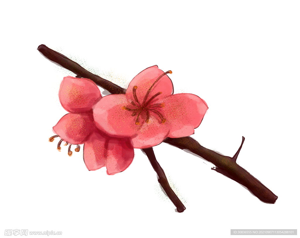 梅花素材 