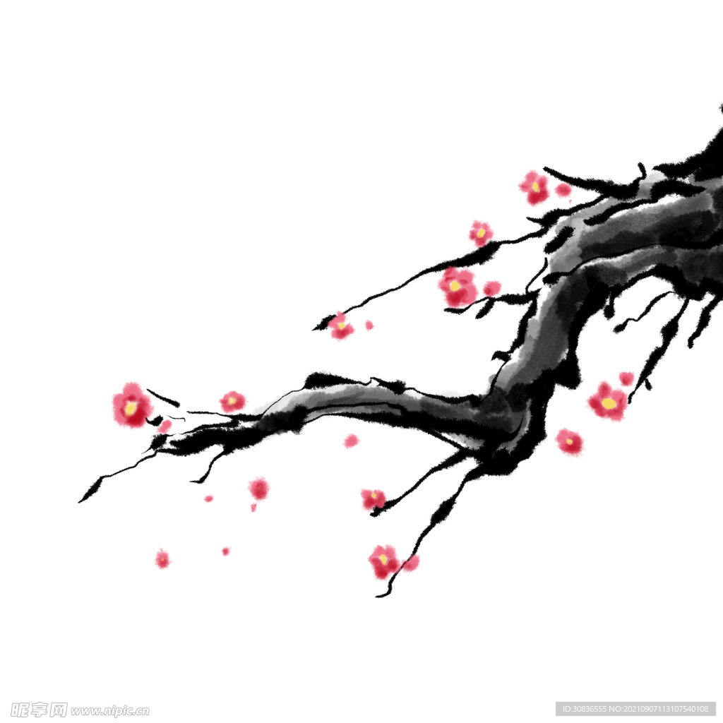 梅花素材 