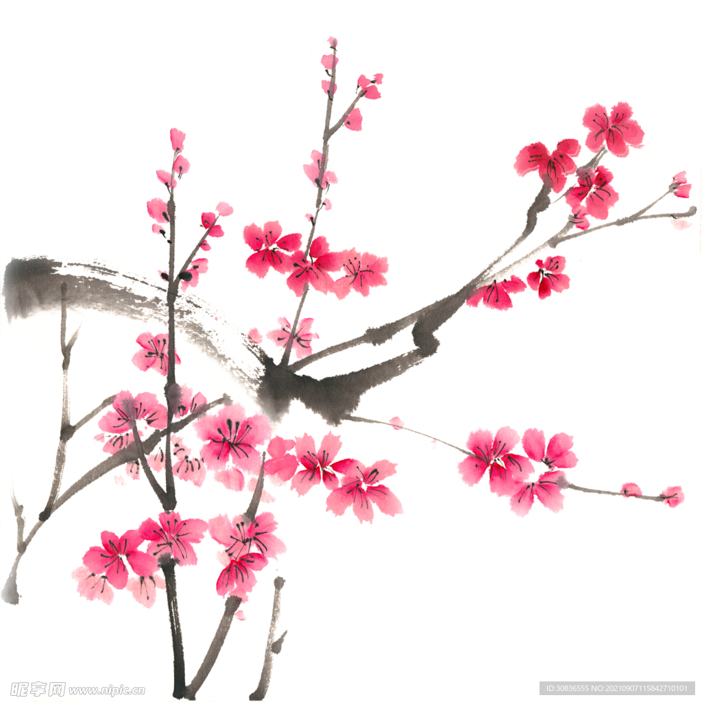 梅花素材 