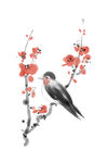 梅花素材 