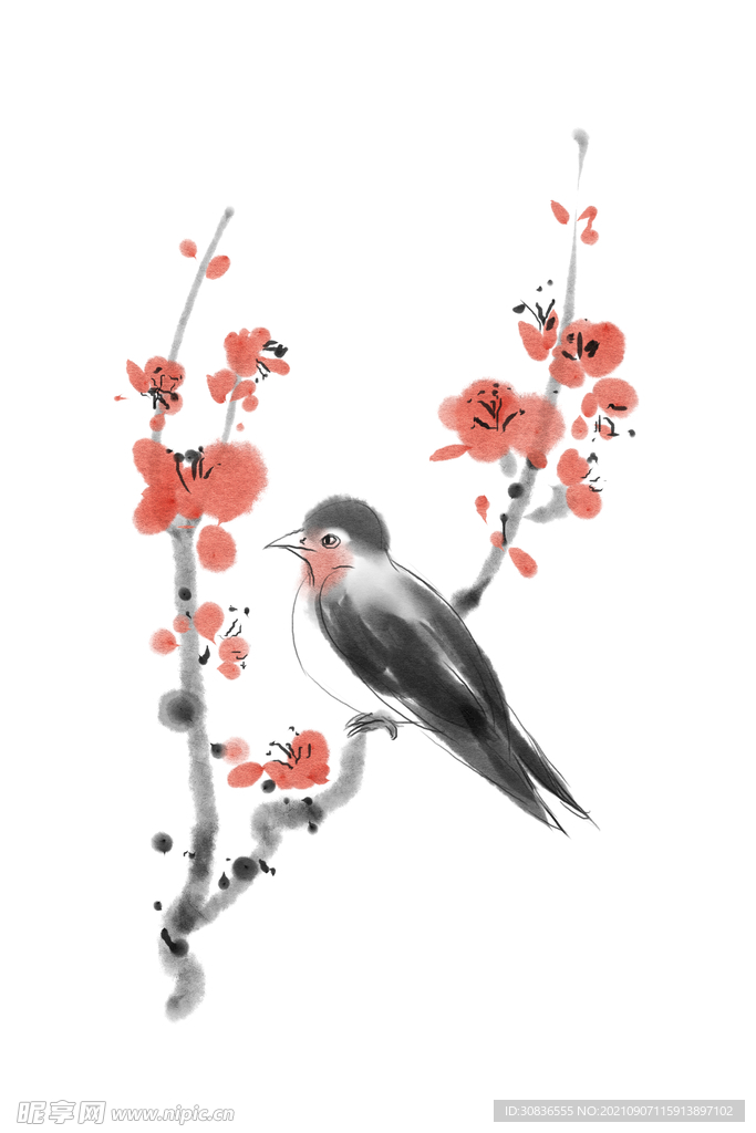 梅花素材 