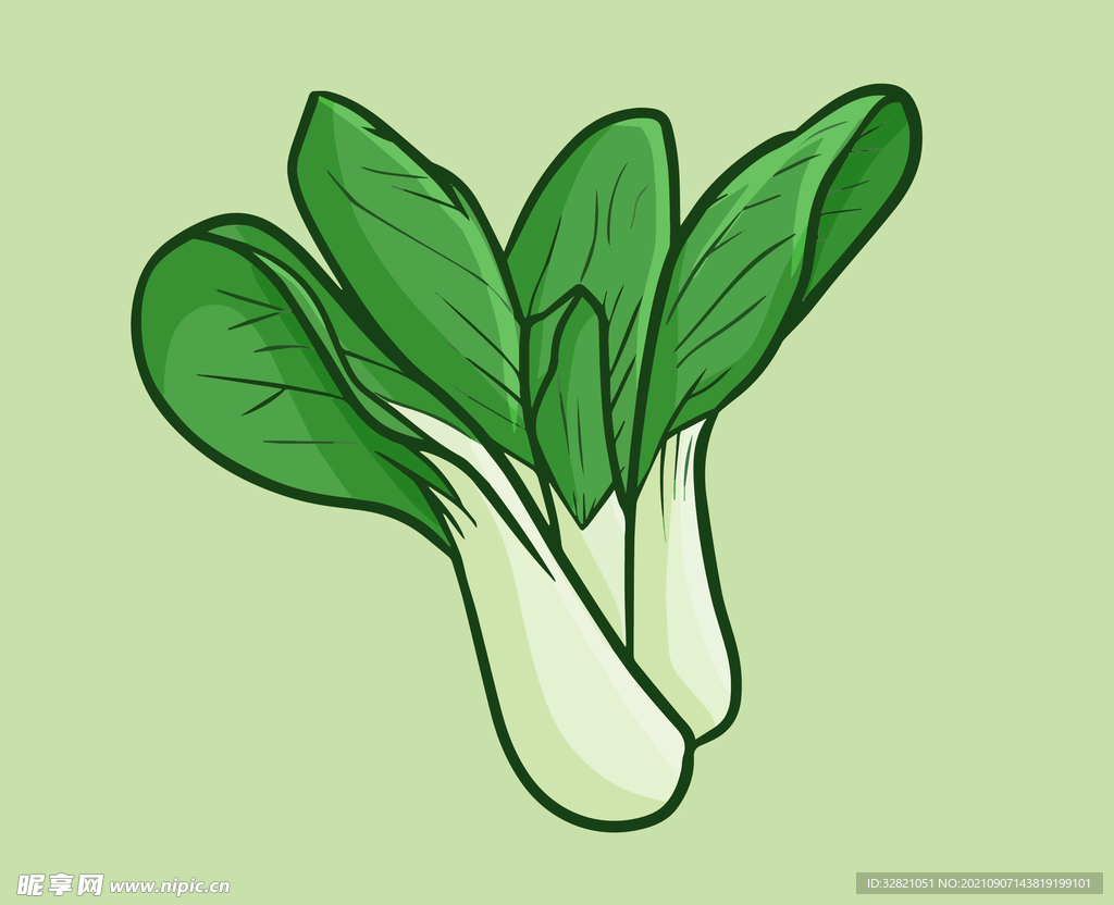 青菜手绘