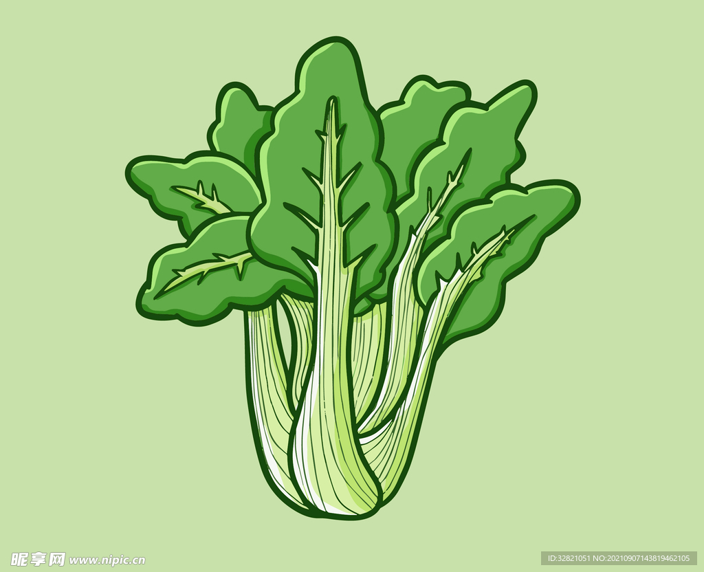 青菜矢量