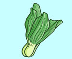 青菜手绘