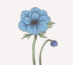 花