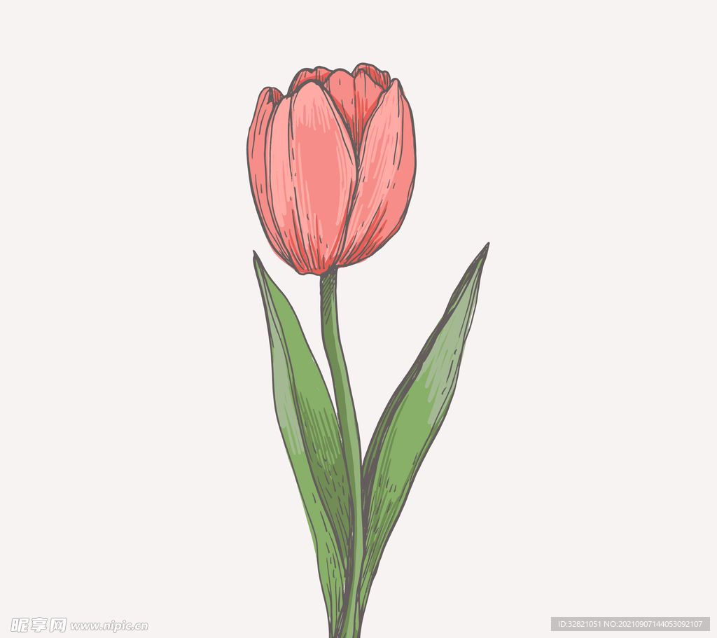 玫瑰花